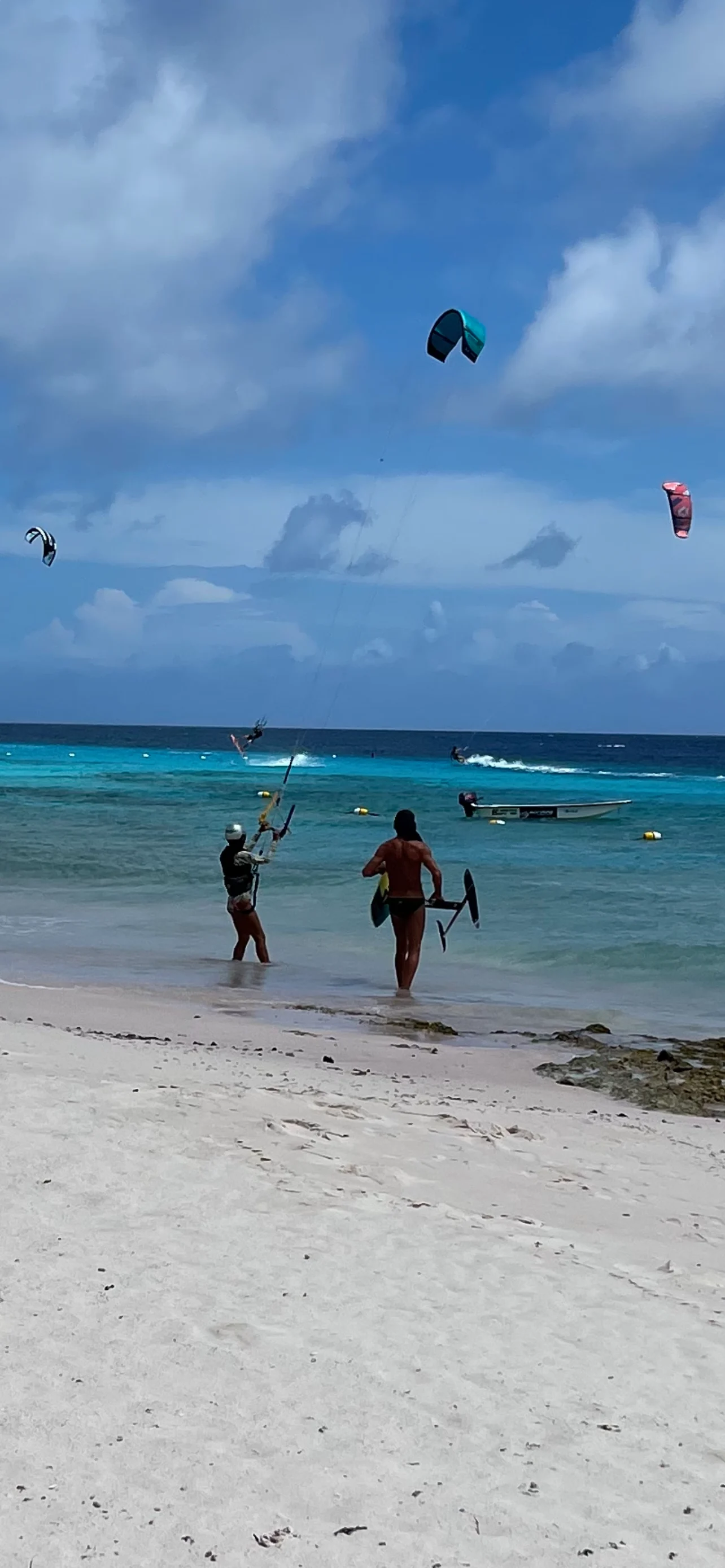 Kitesurfers on a sunny beach day.